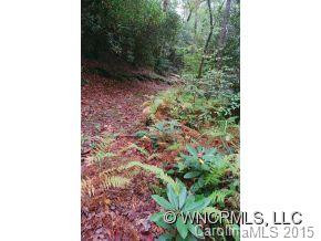 49 Bird Creek Estates Road - Photo 7
