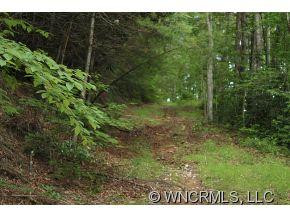 404/384 Laurel Branch Road - Photo 7