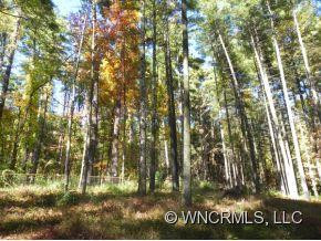 61 Forest Road - Photo 18