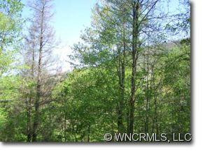 182 FLYING HAWK TRAIL - Photo 9