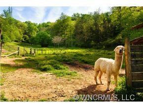 100 Old Salem Road - Photo 4