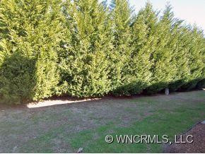 5 Country Meadows - Photo 15