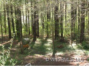 1 Sourwood Lane - Photo 17