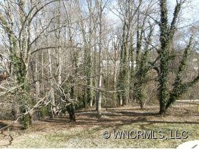 110 Brevard Road - Photo 12