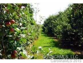 374 Summerfield Pl - Lot 15 D - Photo 20