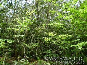 374 Summerfield Pl - Lot 15 D - Photo 10