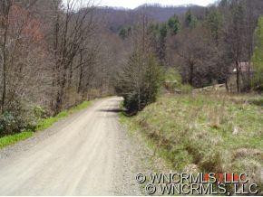 381 Back Branch - Photo 2