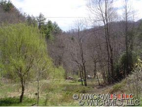 381 Back Branch - Photo 5