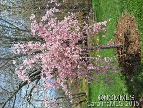 20 Cherry Laurel Lane - Photo 15