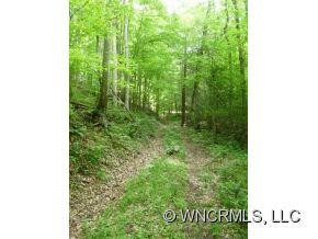 816 Roses Branch Road - Photo 11