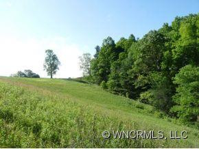 816 Roses Branch Road - Photo 7