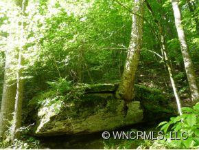 816 Roses Branch Road - Photo 8