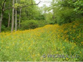 2101 Roses Branch Rd. - Photo 6