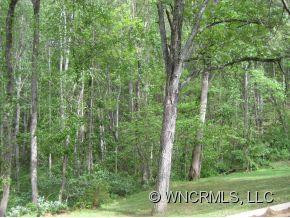 1403 Timber Trail - Photo 10