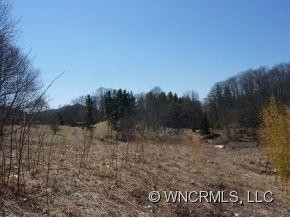 1180 Max Patch Road - Photo 2