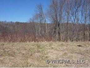 1180 Max Patch Road - Photo 3
