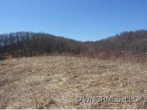 1180 Max Patch Road - Photo 4