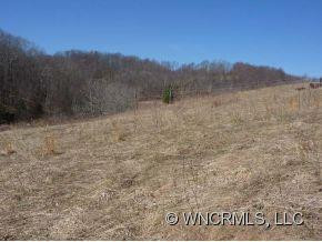 1180 Max Patch Road - Photo 5