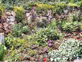 108 Catawba Path - Photo 16
