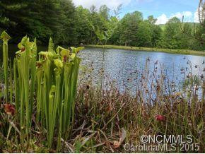 184 Oriole Rd. - Photo 14
