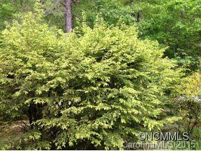 184 Oriole Rd. - Photo 19