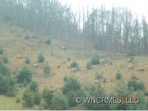 177 HOMESTEAD COVE - Photo 3