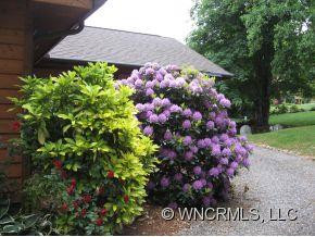 303 Brannon Forest Drive - Photo 10