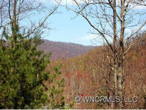 125 BUFFALO TRAIL - Photo 16