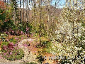 125 BUFFALO TRAIL - Photo 17