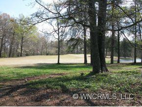 1032 Hooper Creek Road - Photo 3