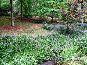464 Chapel Road - Photo 22
