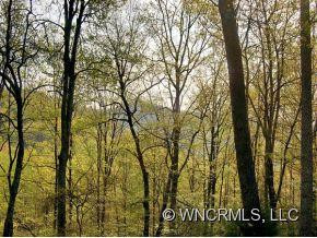 188 SOAPSTONE CREEK - Photo 12