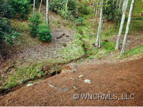 188 SOAPSTONE CREEK - Photo 13