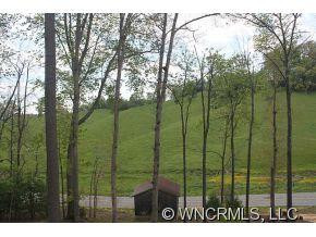 50 Frog Holler Lane - Photo 19