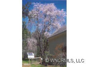 223/221 Reasonover Road - Photo 11