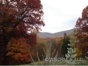 243 Sleepy Gap Road - Photo 12