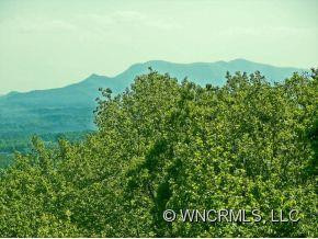 183 Hollytree Lane - Photo 4