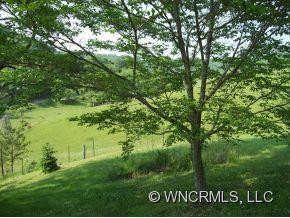 1733 Jones Cv. Rd. - Photo 11