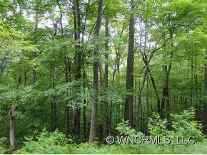 21 Woodstock Drive - Photo 4