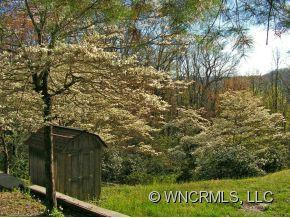436 Whetstone Gap - Photo 12