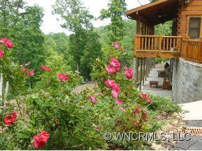 186 Black Ridge Drive - Photo 2