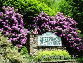 1347 Sheepback Mountain Road - Photo 9