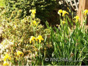 47 CLIFF VIEW - Photo 14