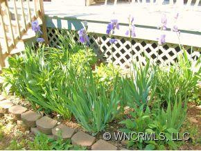 47 CLIFF VIEW - Photo 17
