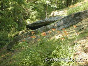 6130 Hwy NC 63  "Lucky Ledge" - Photo 11