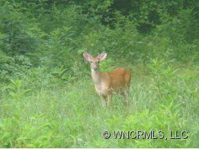 1311 Hamburg Road - Photo 16