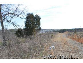 324 Horse Path Drive - Photo 12