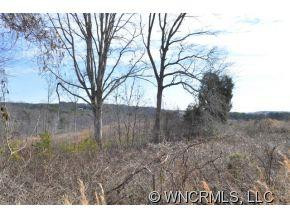 324 Horse Path Drive - Photo 13