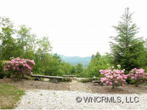 568 Turkey Knob Trail - Photo 9