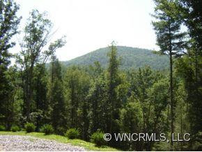 2538 DOE BRANCH ROAD - Photo 2